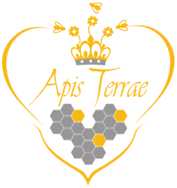 Hydromellerie Apis Terrae - 15220 Marcolès